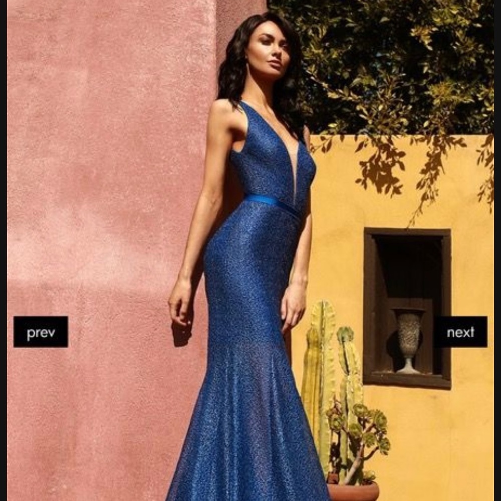 Nicole Bakti dress, size 2.